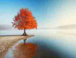 精‌准‍JavaScript脚﻿本‍